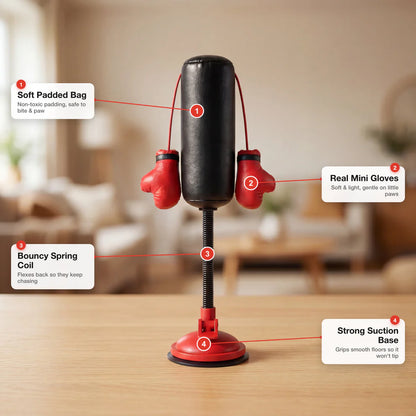 Cat punching bag