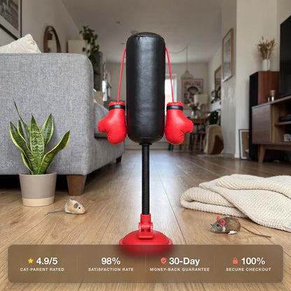 Cat punching bag