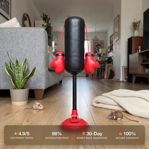 Cat punching bag